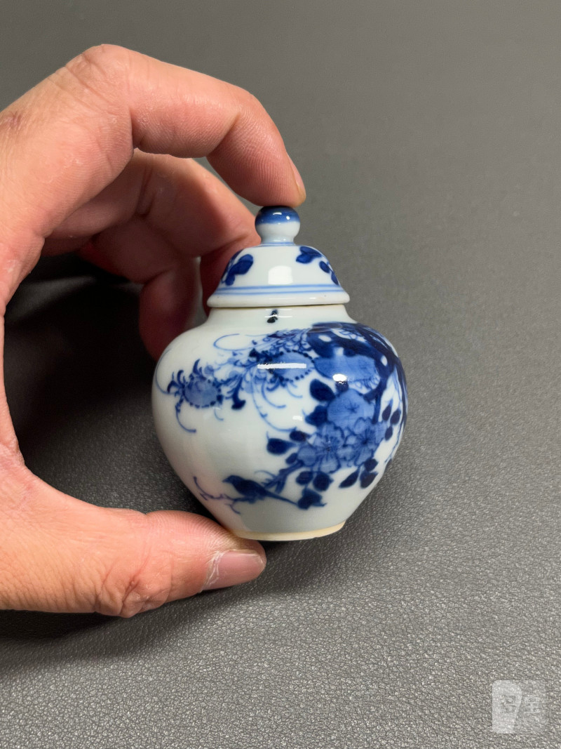 清康熙  青花虫草纹小盖罐 - 图4